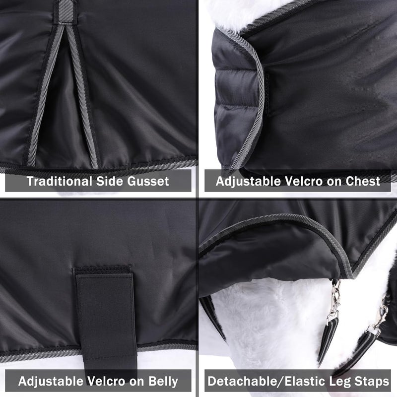 Gallopoff Winter Goat Blanket - 100g Fill Insulated, Waterproof Windproof and Breathable, Adjustable Cold Weather Coat for Goats Black XXX-Large - Image 2